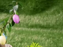 Idyllic Easter scene Stock Footage
