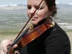 Outdoor Orchestra - Violin Stock Footage