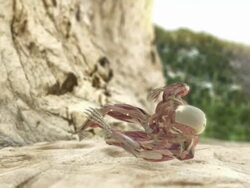 Medium tracking-right - A 3D animation depicts a human musculoskeletal system, nervous system and the impact of a fall from a great height Stock Footage