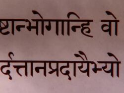 CU PAN Bhagavad Gita Chapter 3 in Sanskrit / New York City, New York, USA  Stock Footage