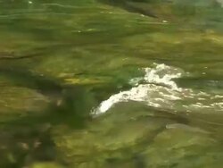 Running water 8-58: HD 1080/60i Stock Footage