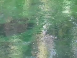 Headspring 'Boil' Stock Footage