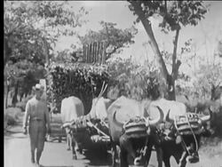 Sights of Cuba Stock Footage