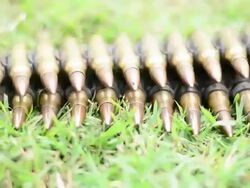 Bullets CO BA Stock Footage