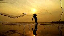 HD slow motion:Local lifestyles of fisherman working in the morning sunrise. Stock Footage