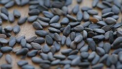 heap of black sesame seeds, close-up Stock Footage