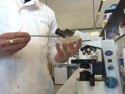 Science laboratory general views News Clip