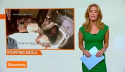 Ebola: NYC Mayor, NY Governor Say No Cause for Alarm News Clip