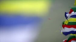 Flags in the wind Stock Footage