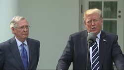 Trump and McConnell: Relationship is "outstanding" News Clip