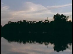 WA Pan left, Silhouetted trees reflected in still river at dusk, South America Stock Footage