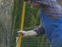 HD: Gardening Stock Footage