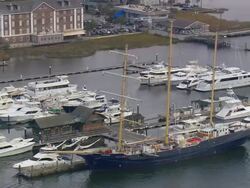 MS AERIAL Shot of marina / South Carolina, United States Stock Footage