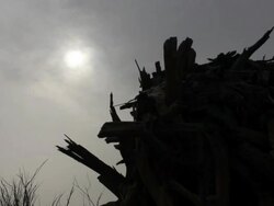 Wooden hut seen against sunlight Stock Footage