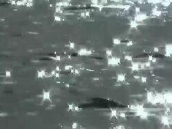 star flashes (Two color themes) Stock Footage