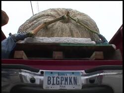 An Iowa farmer won the World Championship Pumpkin Weigh-Off in Half Moon Bay, Calif., with an Atlantic Giant weighing 1,658 pounds. It shattered the California record of 1,535 pounds and was just short of the 1,725 world record set last week in Ohio. News Clip