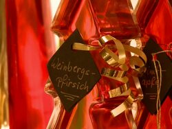 CU View of bottles at brandy distillery / Fellerich, Rhineland-Palatinate, Germany  Stock Footage