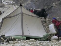 MS PAN Local villagers working in camp / Himalayas, Upper Dolpo, Nepal    Stock Footage