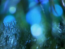 New Year background Stock Footage