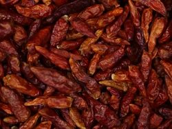 Dried red chili pepper. Kitchen herbs background Stock Footage