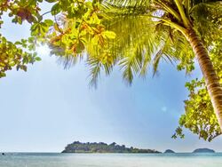 Palm tree and island Stock Footage
