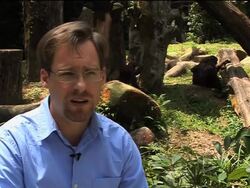 The story of Darwin's collaborator Alfred Wallace News Clip