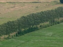 WS AERIAL PAN View of farm fields waving in breeze in Montmeyran / Rhone Alpes, France Stock Footage