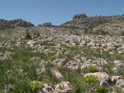 MS Shot of Natural park Karst Landscape / Antequera, Andalusia, Spain Stock Footage