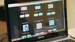 CLEAN : Israeli rabbi peddles kosher pleasure with online sex shop News Clip