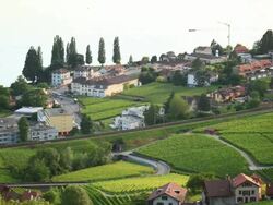 fast train passing vineyard near Lac Leman Stock Footage