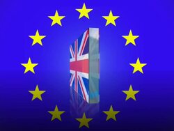 Flags of European union members Stock Footage