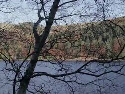 Derwent Valley, Derwent Reservoir, Peak District National Park, Derbyshire, England, United Kingdom  Stock Footage