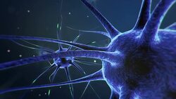 Neurons nerve cells transmit information Stock Footage