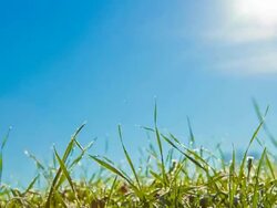 HD TIME-LAPSE: Sunrise Over Meadow Stock Footage