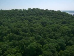 AERIAL WS Trees on montain near Mississippi river / St Louis, Missouri, United States Stock Footage