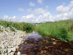 Irish bogland river Stock Footage