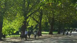 People Moving Through London Hyde Park (4K/UHD to HD) Stock Footage