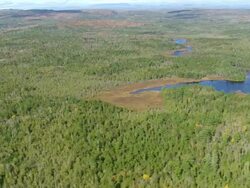 WS ARIEAL View of forest /Maine, United States Stock Footage