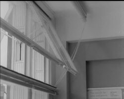 SHUTTING OUT THE NOISE News Clip