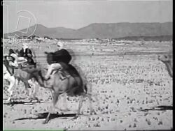 Tuareg celebration in the Hoggar region, 1957 - playing drums, singing, camel racing Stock Footage