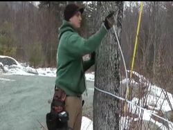 The Northeast's mild winter is raising concerns about maple syrup production. Some producers, like Ben Fisk, are tapping trees a month ahead of schedule News Clip