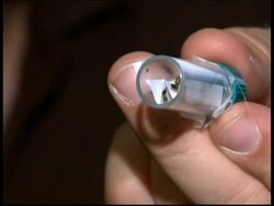 One of every 15 New Yorkers battled bedbugs last year, officials said Wednesday as they announced a plan to fight the spreading infestation, including a public-awareness campaign and a top entomologist to head the effort. News Clip