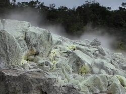 MS Shot of volcanic gases rising from rocks covered in yellow green sulphur crystals with trees in distance on cloudy day at Sulphur Banks in Volcanoes National Park / Volcano, Hawall, Big Island, United States Stock Footage
