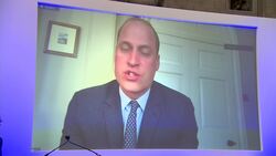 Prince Williams praises healthcare workers as he opens new temporary hospital in Birmingham, via video link Instructional Video