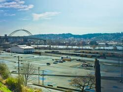 Portland Day Stock Footage