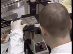 USA: SCIENTISTS IDENTIFY 2 PEOPLE IMMUNE TO HIV VIRUS News Clip