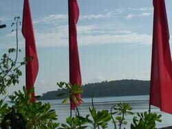 Runner Stock Footage