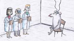 TED-Ed: Why do we itch? - Emma Bryce Instructional Video