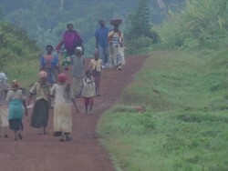 WS People walking along road / Buikwe, Uganda Stock Footage