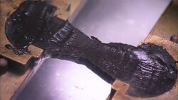 A malleable rubber material stretches, then breaks. Stock Footage